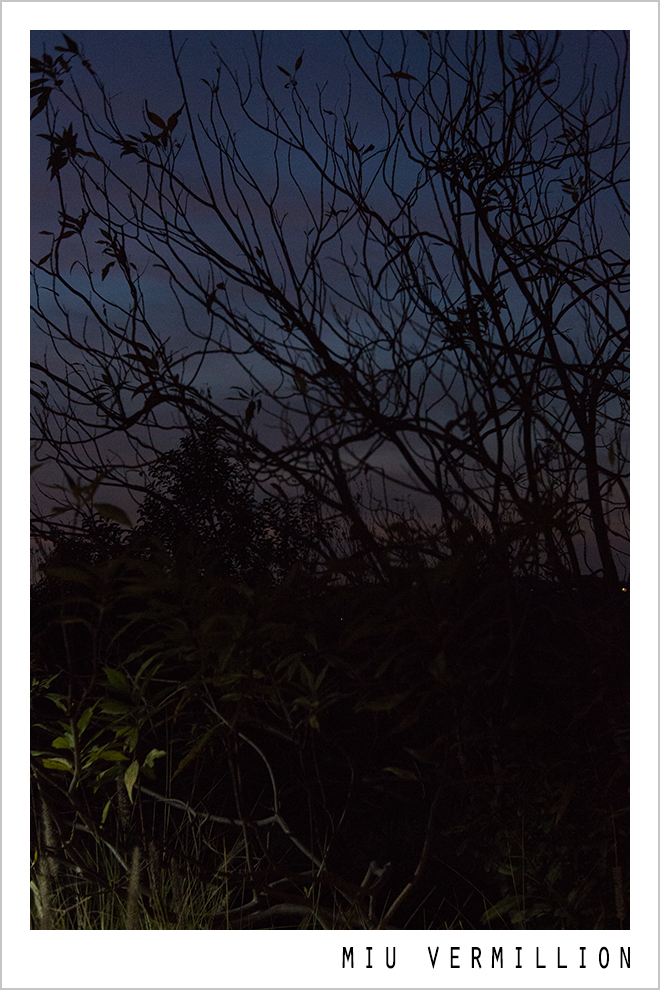 Miu Vermillion Photography - Night Walk