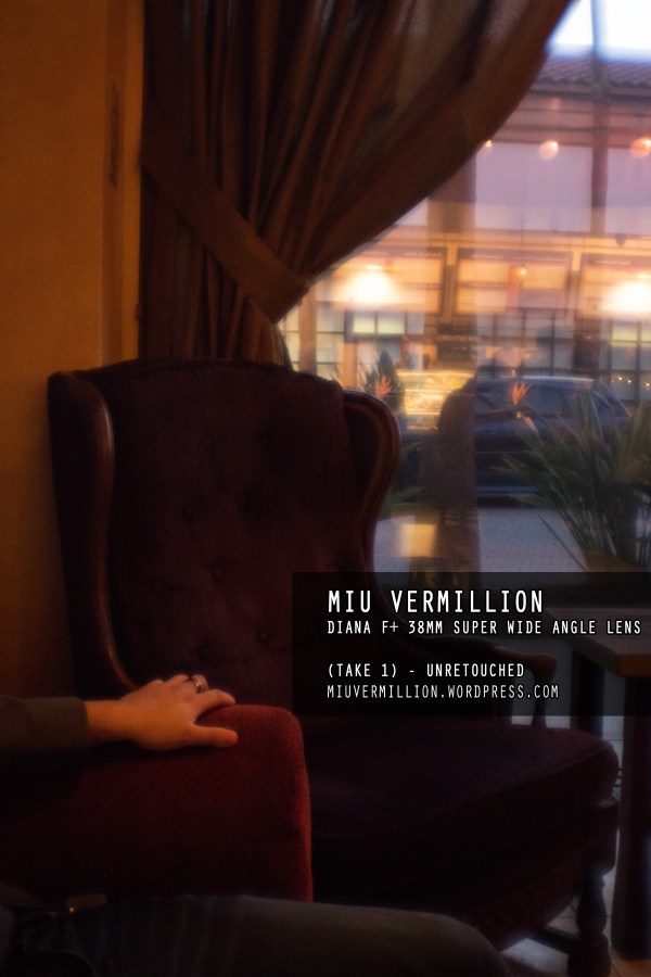 Miu Vermillion | Photography Blog - Diana F+ 38mm Super Wide Angle Lens on a Canon DSLR