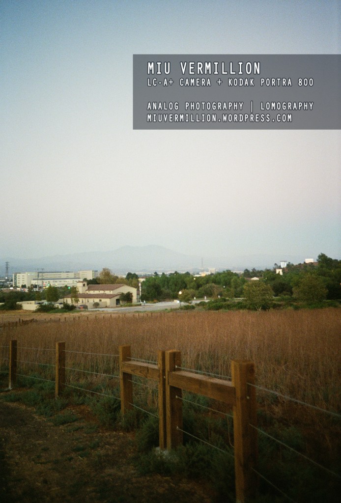 Lomo LC-A+ Camera + Kodak Portra 800 Film | Going Analog - via miu vermillion photography blog