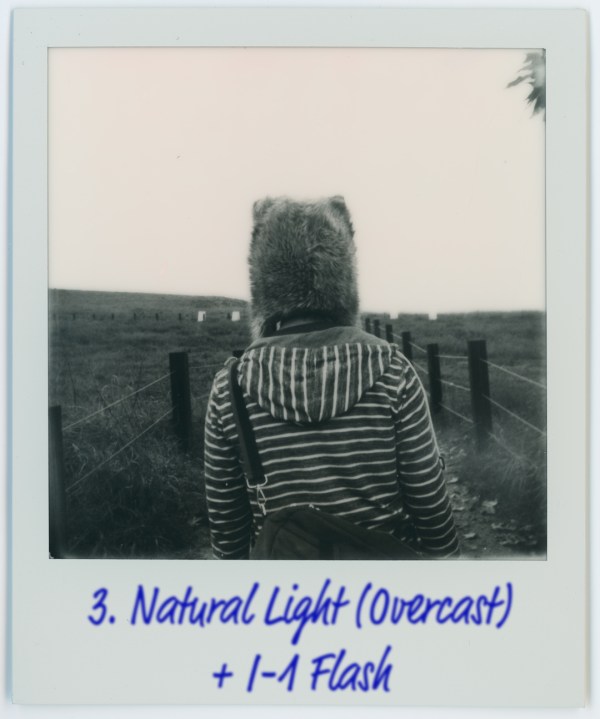 Impossible I-Type Films (Image Quality and Comparison) - via miu vermillion photography blog