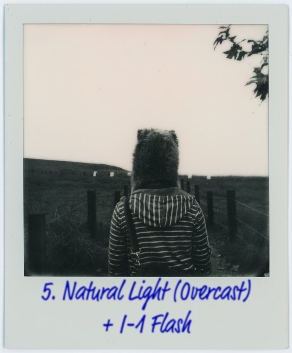 Impossible I-Type Films (Image Quality and Comparison) - via miu vermillion photography blog