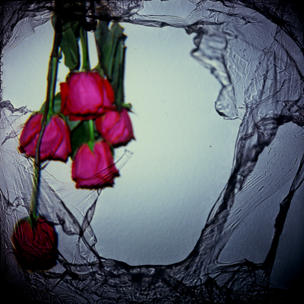 Kodak Portra 400 Color Negative 120mm Film, home-made frame mask, and Diana F+ Camera - via Miu Vermillion