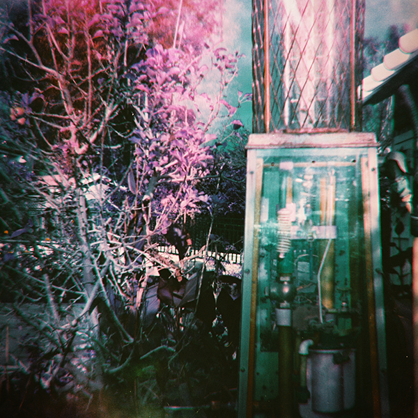 Lomochrome Purple 120 Film and Diana F+ Camera - via Miu Vermillion