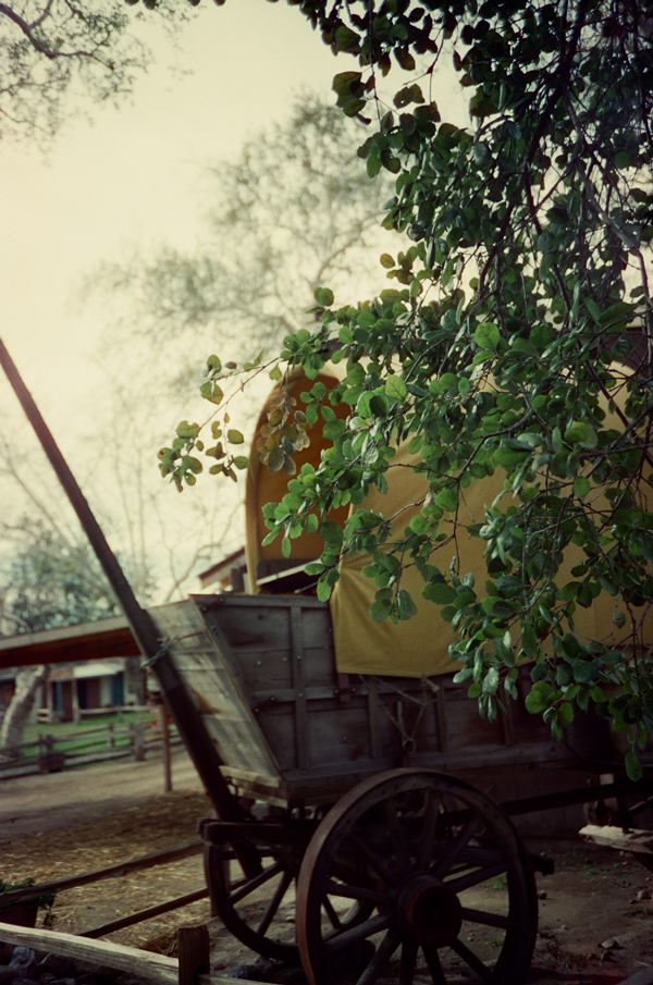 KONO! Kolorit 400T + Zenit 412LS - via miu vermillion photography blog