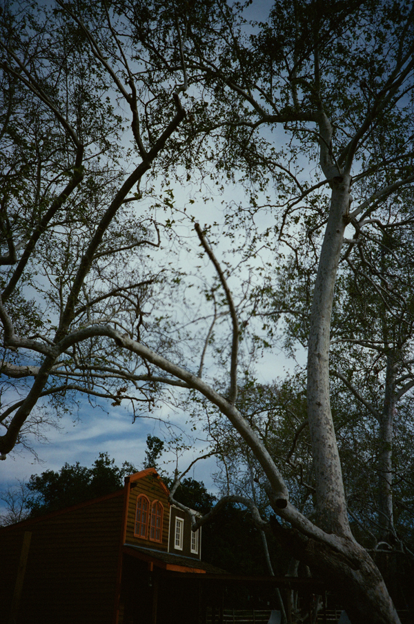 KONO! Kolorit 400 Tungsten + Zenit 412LS - via miu vermillion photography blog