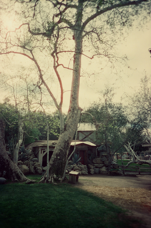 KONO! Kolorit 400 Tungsten + Zenit 412LS - via miu vermillion photography blog