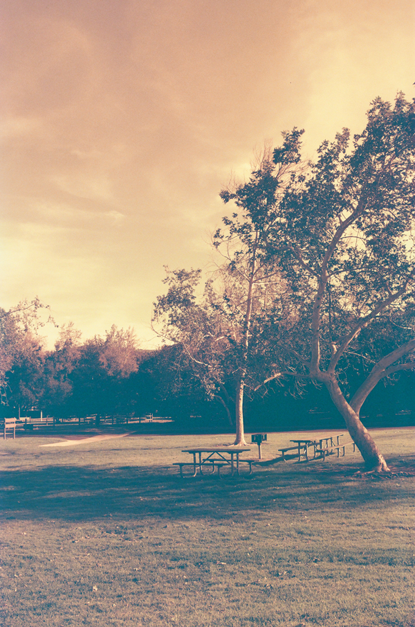 Kono Rotwild CN 400 film + Lomo LC-A+ Camera - via Miu Vermillion blog