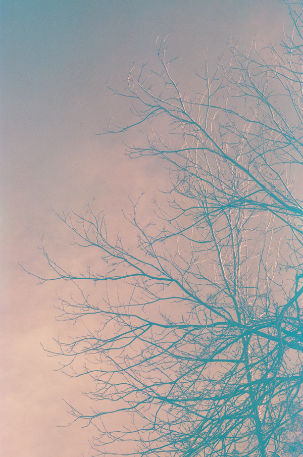 Kono! Rotwild CN 400 film + Lomo LC-A+ Camera - via Miu Vermillion blog