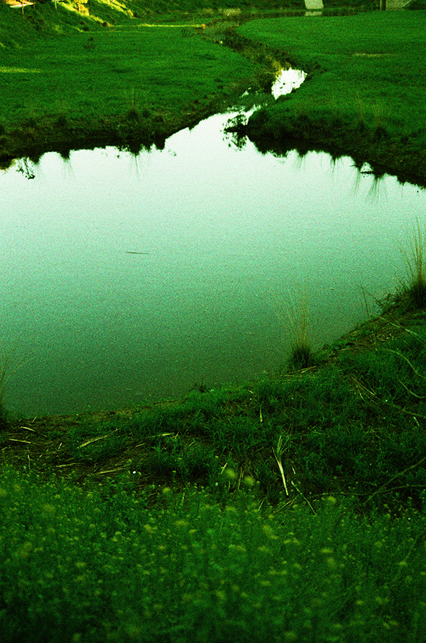 Lomography X-Pro 200 ISO 35mm via miu vermillion blog