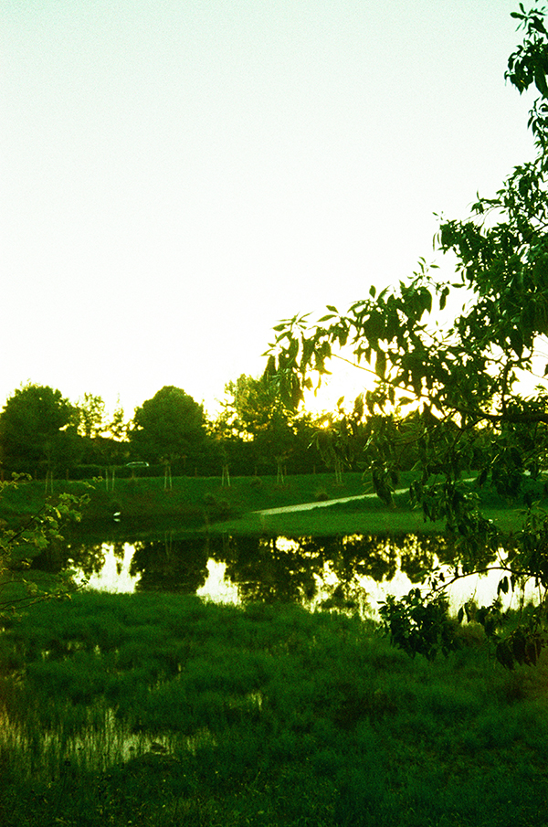 Cross Processing Lomography X-Pro 200 ISO 35mm || miu vermillion blog