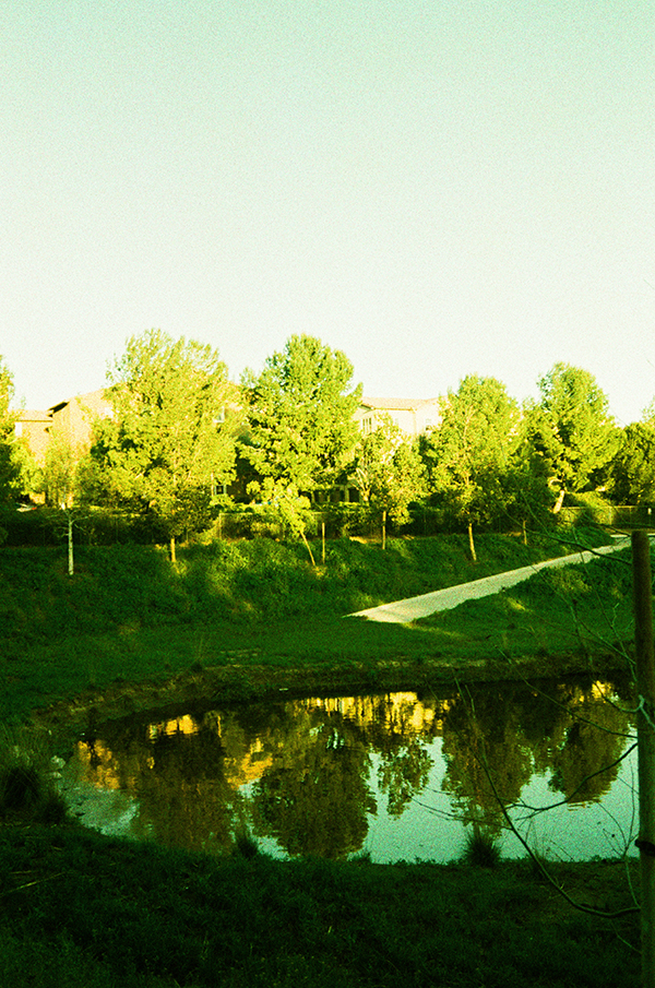 Lomography X-Pro 200 ISO 35mm @ miu vermillion blog