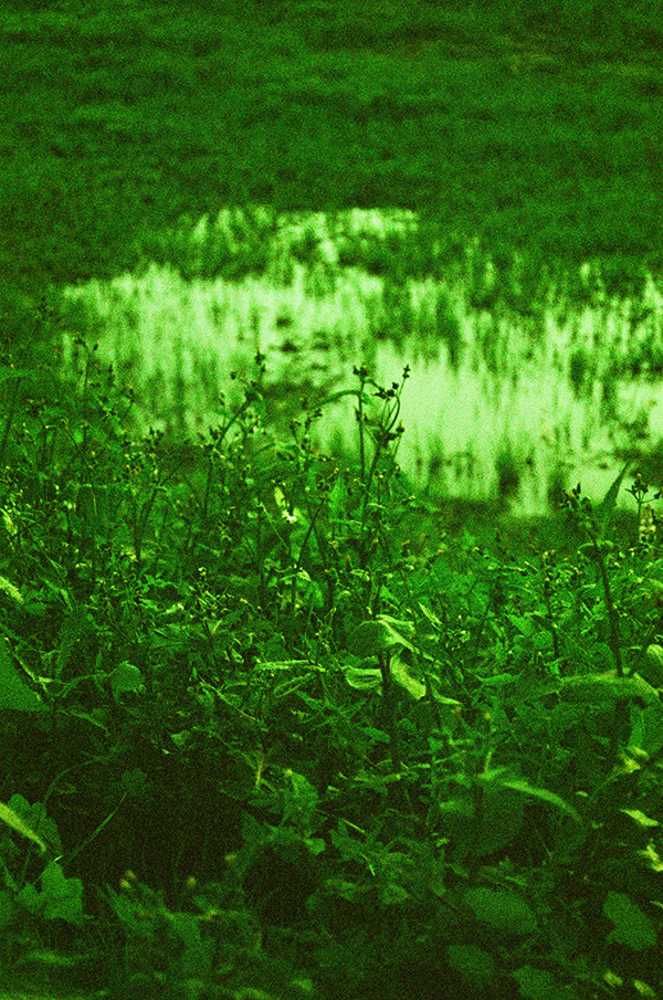 Lomography X-Pro 200 ISO 35mm via miu vermillion blog