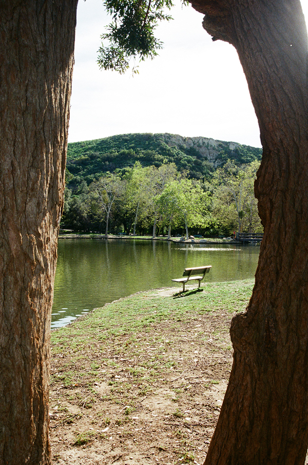 Lomography 100 ISO Color Negative Film + Nikon N75 - via miu vermillion photography blog