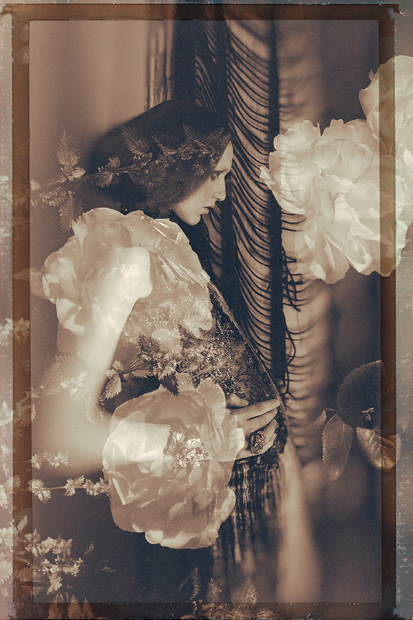 Fine art Photography by Miu Vermillion