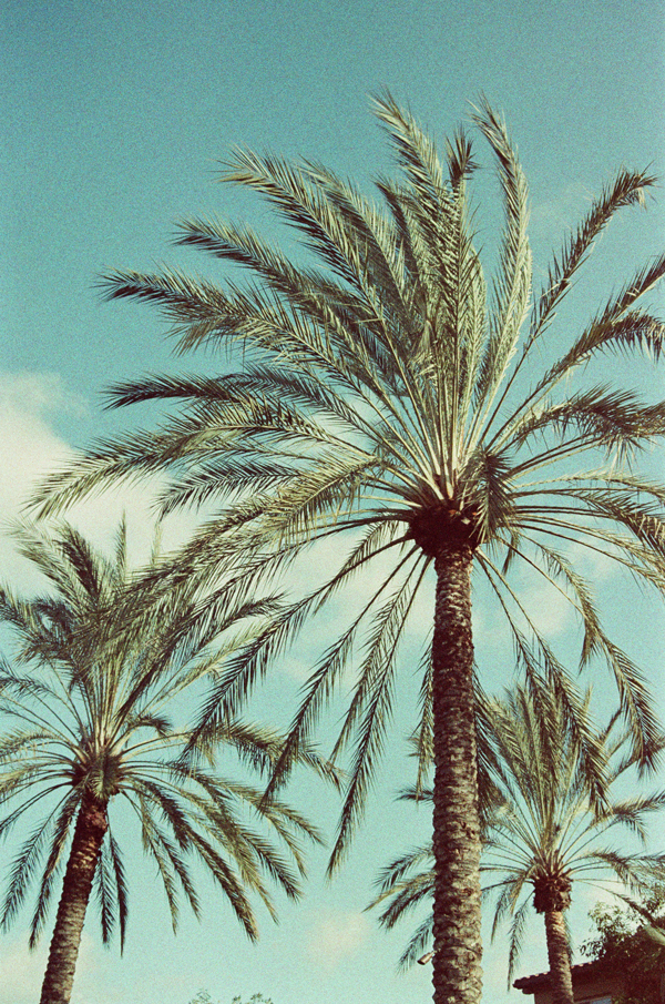 Analog Photography - Adox Color Implosion | via miu vermillion blog