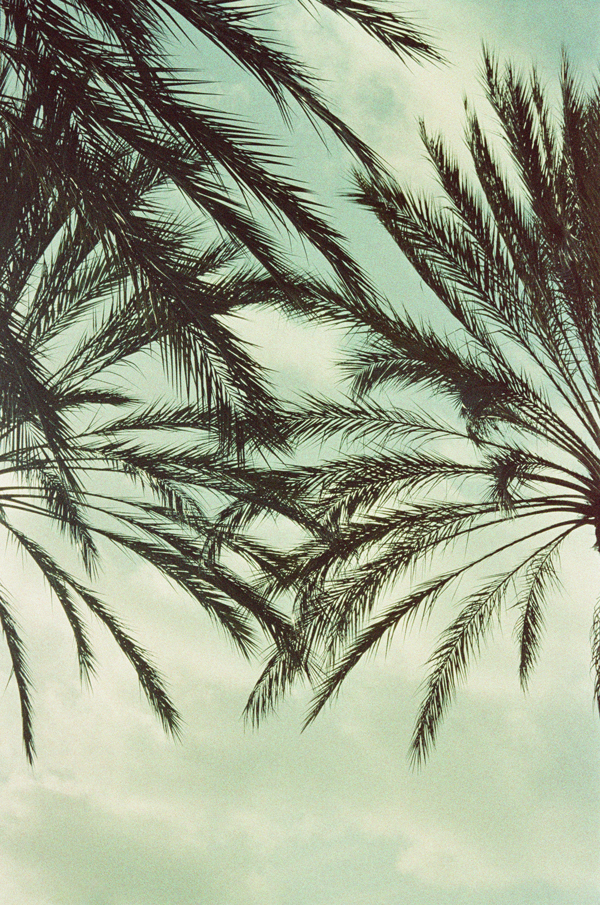 Analog Photography - Adox Color Implosion | via miu vermillion blog