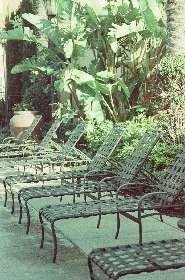 Analog Photography - Adox Color Implosion | via miu vermillion blog